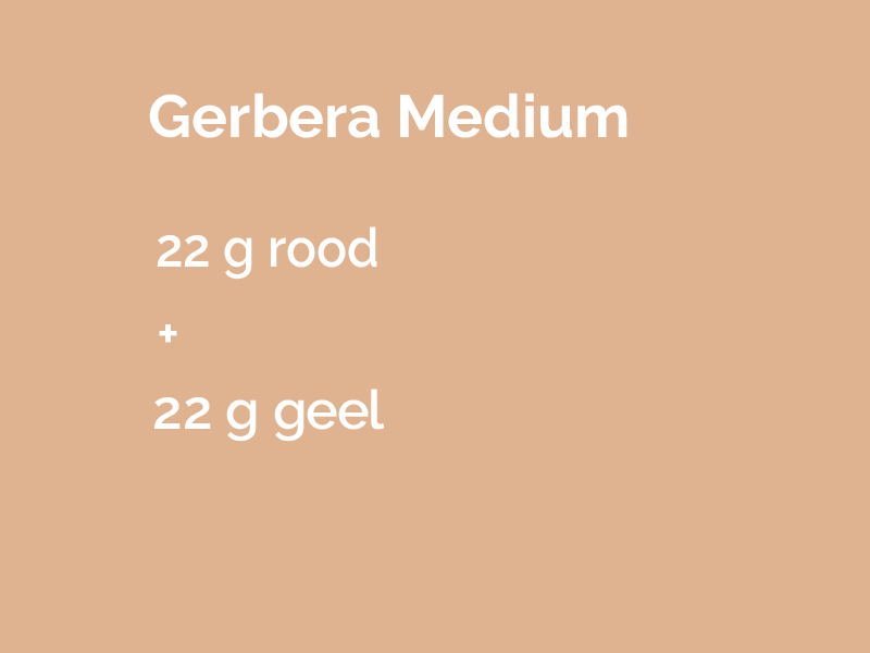 gerbera medium.png